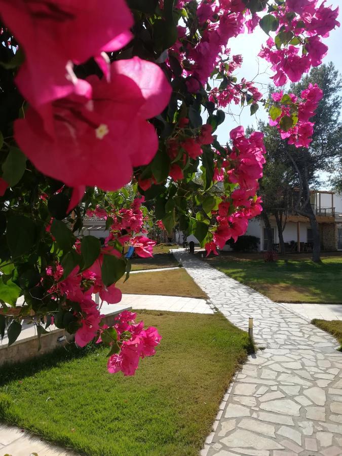 Marzi Beach And Bungalows Hotel Kokkónion Екстериор снимка